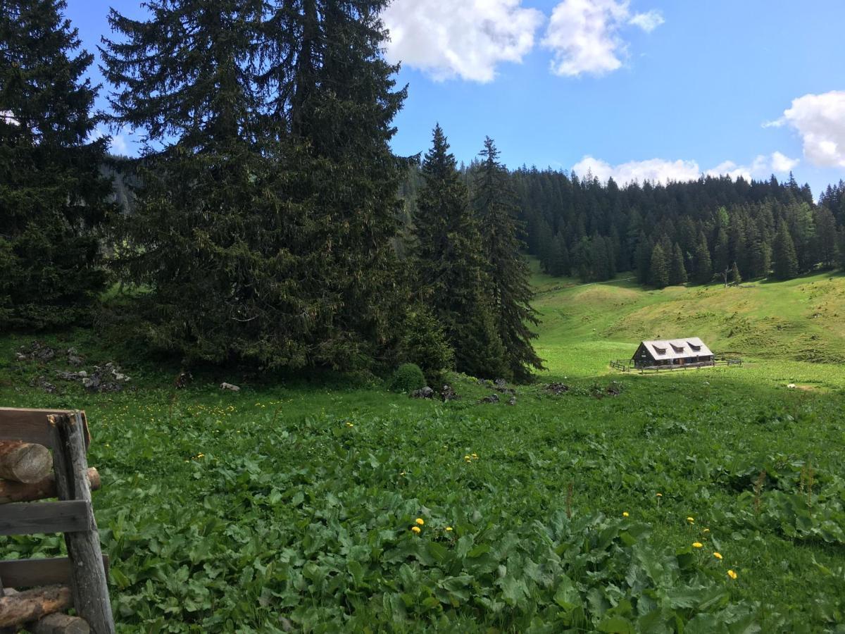 Bed and Breakfast Wengerwirt Zur Laube Weng im Gesause Екстер'єр фото