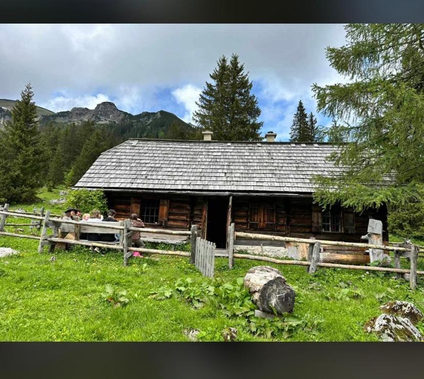 Bed and Breakfast Wengerwirt Zur Laube Weng im Gesause Екстер'єр фото