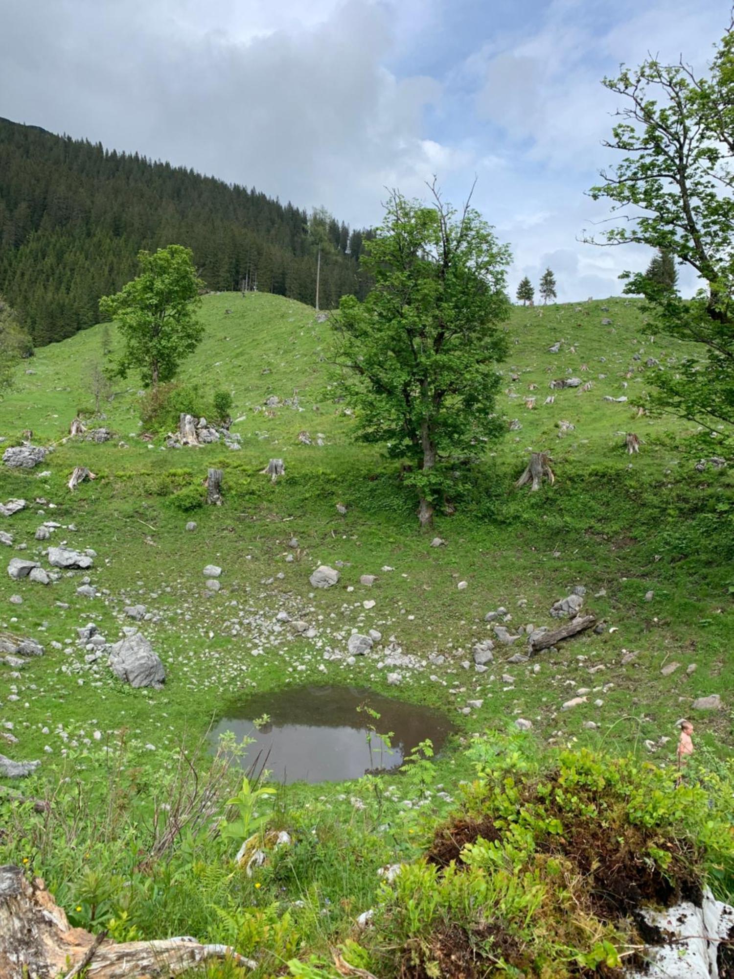 Bed and Breakfast Wengerwirt Zur Laube Weng im Gesause Екстер'єр фото