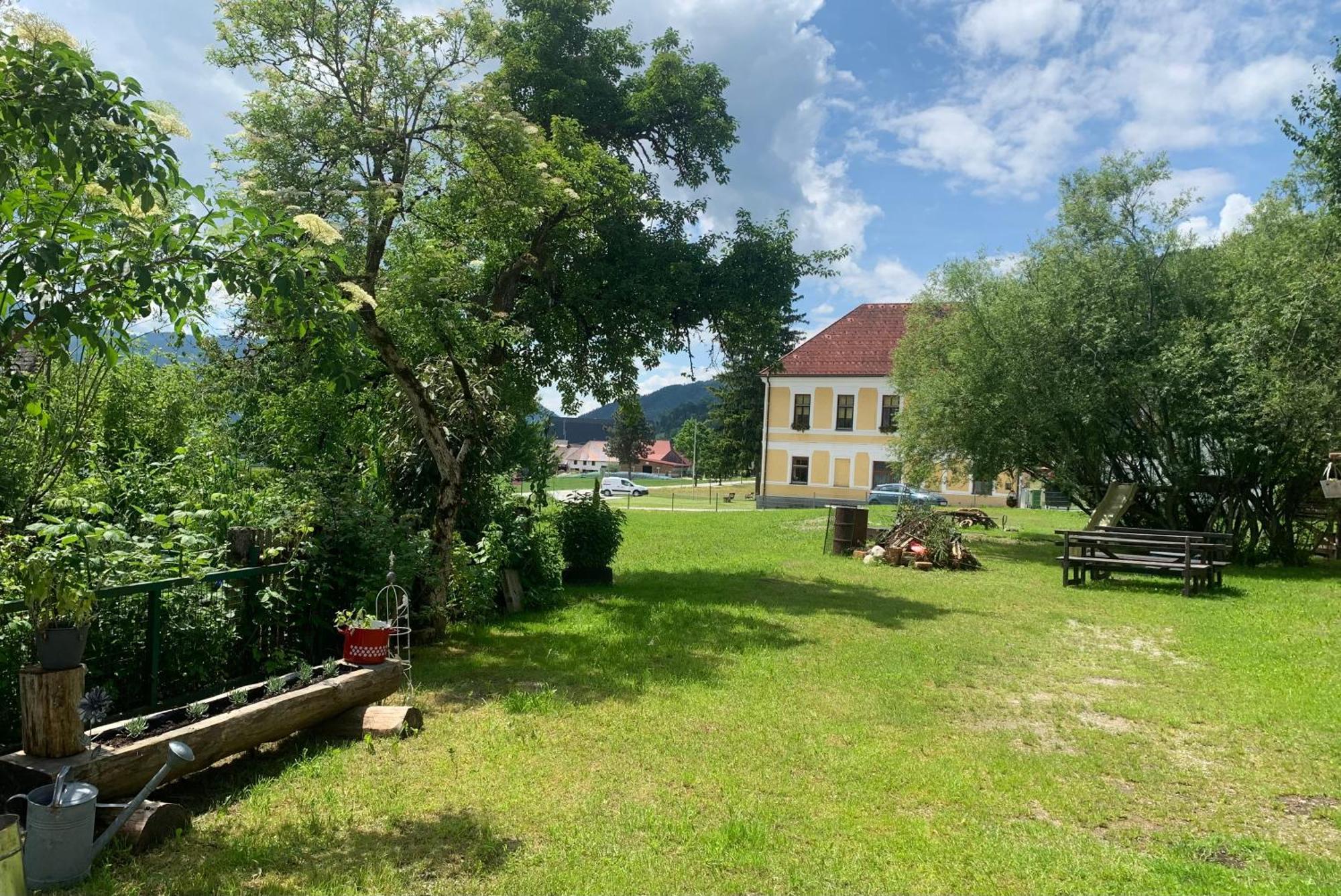 Bed and Breakfast Wengerwirt Zur Laube Weng im Gesause Екстер'єр фото